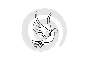 pigeon line art for wedding and boutique logo design inspiration.