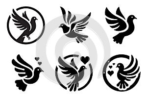 Pigeon logo icon vector illustration