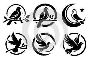 Pigeon logo icon vector illustration