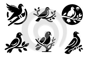 Pigeon logo icon vector illustration