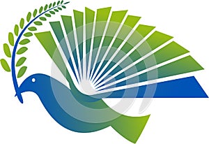 Pigeon logo