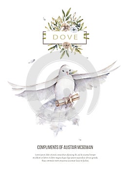 Pigeon and olive clip art digital drawing watercolor bird fly peace dove for wedding celebration illustration similar on