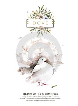 Pigeon and olive clip art digital drawing watercolor bird fly peace dove for wedding celebration illustration similar on