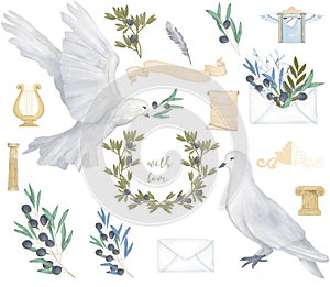 Pigeon and olive clip art digital drawing watercolor bird fly peace dove for wedding celebration illustration similar on white