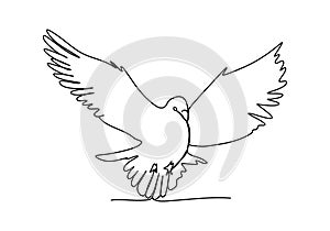 Pigeon one line drawing art. Vector illustration