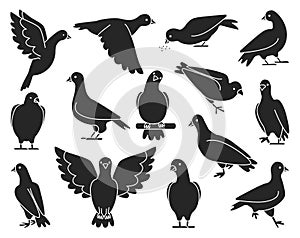 Pigeon of peace black vector illustration on white background.Vector illustration set icon dove of bird .Isolated set