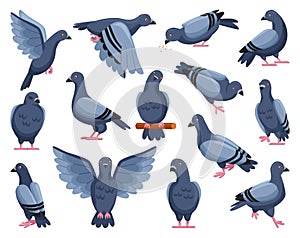 Holub z mír návrh malby vektor ilustrace na bílém. vektor ilustrace sada ikona holubice z pták . sada 