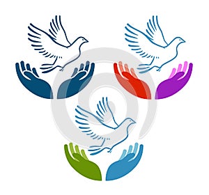 Pigeon of peace flying from open hands icon. Charity, ecology, natural environment vector logo or symbol
