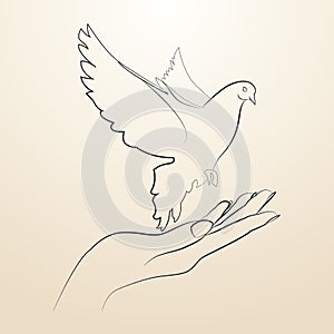 Pigeon of peace flying from the open hands sketch in black lines