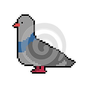 Pigeon pixel art. Dove 8 bit. Vector illustration