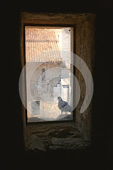 A pigeon is placed on an ancient window.