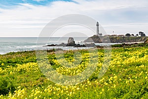 Pigeon Point Lighthouse