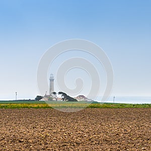 Pigeon point lighthouse on a cliff edge. California Highway 1. Coast of California, Big Sur. Agriculture