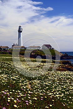 Pigeon Point Lighthouse, Davenport California