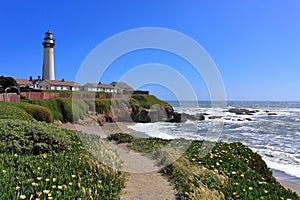 Pigeon Point State Park with Ice Flowers on Pacific Coast, California