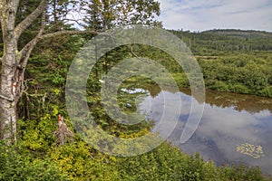 The Pigeon River flows through Grand Portage State Park and Indian Reservation. It is the Border between Ontario and Minnesota