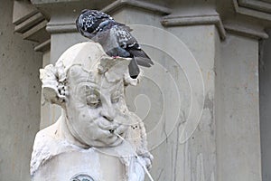 Pigeon sitting on statue, low angle view