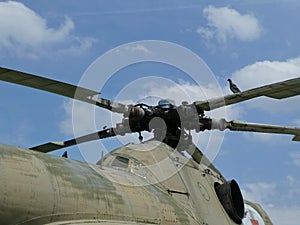 Pigeon standing on the one of propeller.s on the helicopter