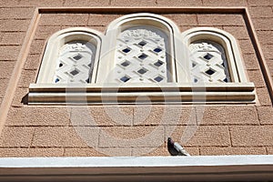 Pigeon standing on orthodox church window.