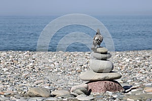 A pigeon standing on top of a pyramid of stones on a pebble beach. Copy space