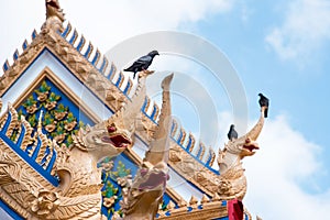 Pigeon stay on naga structure in Wat Sanam henu Temple in Nonthaburi, Thailand. photo