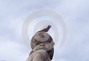 Pigeon on a Stone head