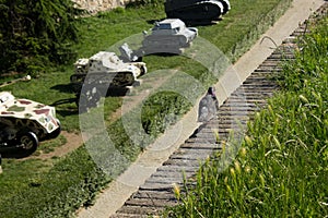 Pigeon and tanks in Belgrade fortress