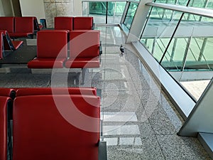 A pigeon walks across the floor past rows of red chairs in a room with large panoramic windows. Bird in empty waiting room of