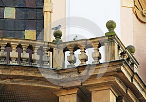 Pigeons on the bannister photo