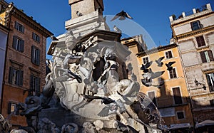 Pigeons in city center of Rome on the fontain photo