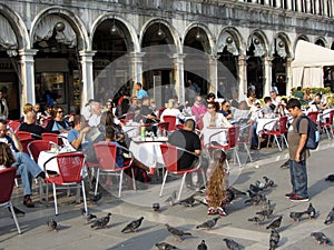 Pigeons and Diners