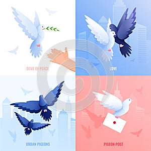 Pigeons Flat Design Concept