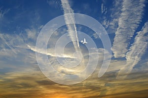 Pigeons flying, blue sky, white clouds