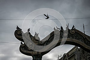 Pigeons on a Gate