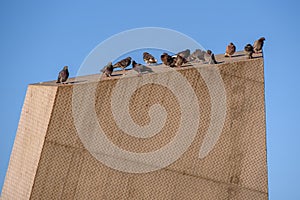 Pigeons on Geometric Metal Structure