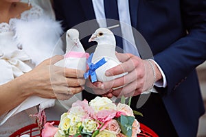 Pigeons in the hands of the bride and groom in the wedding day