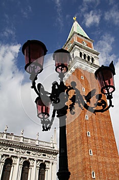 Pigeons Lampost Biblioteca Campanile- Venice Italy