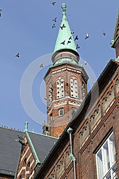 Pigeons living i the City Hall