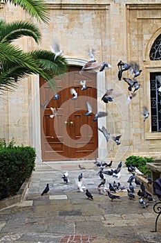 Pigeons Outside the Church of Ayios Titos in Heraklion, Crete, Greece.