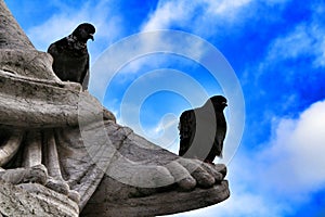 Pigeons perched on granite statue in Lisbon