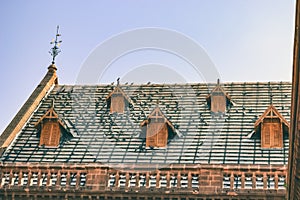 Pigeons on the Roof