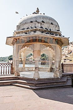 Pigeons on a Small Monument