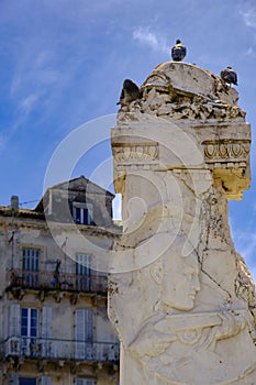 Pigeons on statue 10th Infantry Battalion Square in Corfu Town in Greece