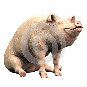 Piggie - 02