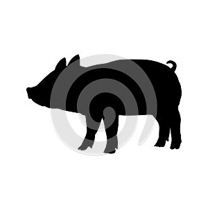 Piggie baby pig farm mammal black silhouette animal.