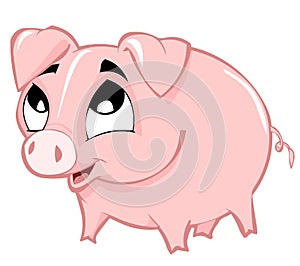 Piggy photo