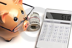 Piggy Accounting And Roll