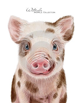 Piggy baby. Watercolor spotted pig.