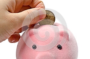 Piggy bank