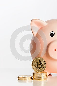 Piggy bank with bitcoins